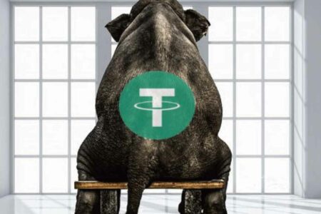 【Zombit專欄】USDT , Elephant in the room.