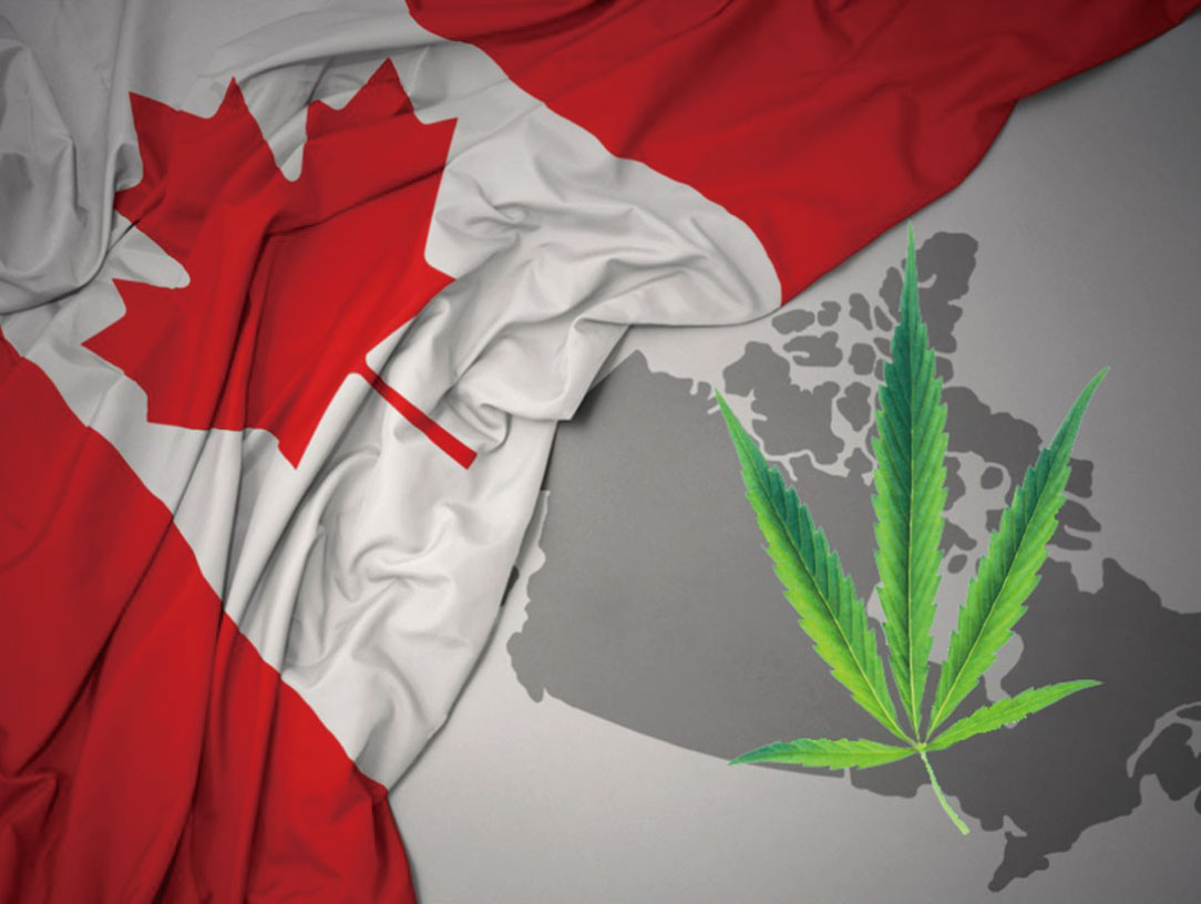 【熱門時事】加拿大公司將大麻產業建構於區塊鏈的供應鏈平台