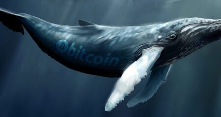 比特幣大戶在過去兩個月內收購了大量的比特幣