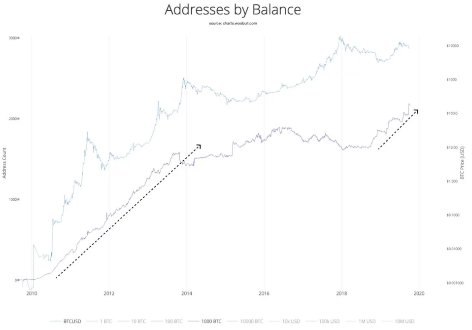 Super bullish! Bitcoin address data matches early growth trends2