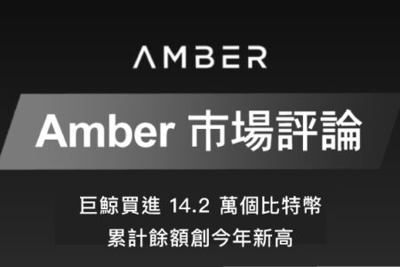 Amber 市場評論｜巨鯨買進14.2萬個比特幣 累計餘額創今年新高