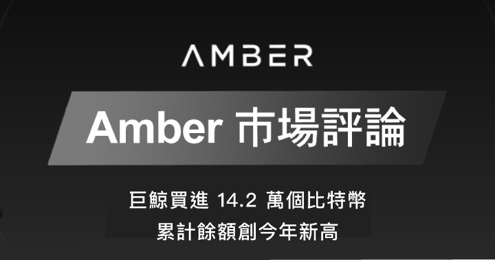 Amber 市場評論｜巨鯨買進14.2萬個比特幣 累計餘額創今年新高