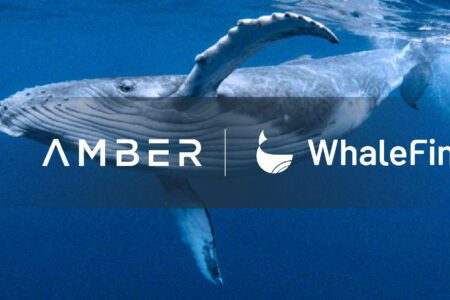 Amber Group 專訪—遨遊汪洋大海的數位資產平台 WhaleFin