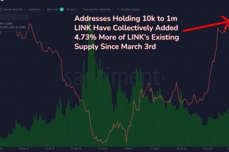 Chainlink 巨鯨在熊市仍不斷抄底，已增持價值超過 3 億美元的 LINK 代幣
