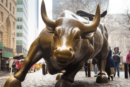 Bitcoin bull