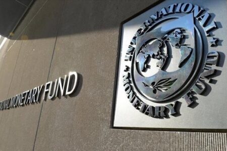 國際貨幣基金組織：禁止加密貨幣並非長久之計