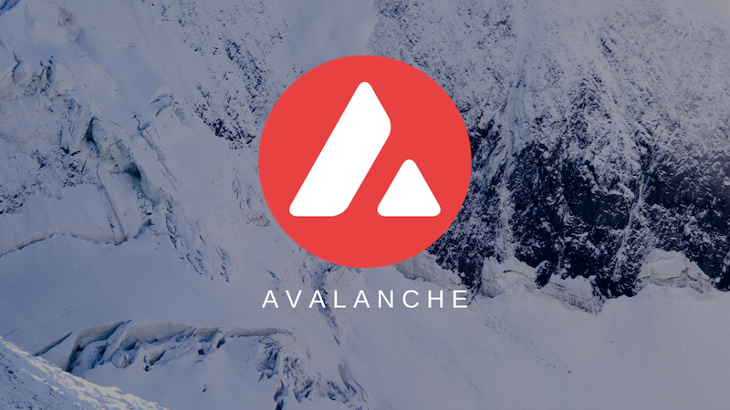 Avalanche 停機兩小時！創辦人澄清：與銘文無關，純粹是程式碼相關錯誤