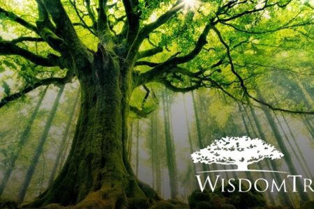 WisdomTree 報告：隨著機構採用熱潮興起，比特幣不再被視為小眾投資