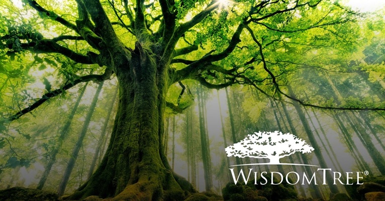 WisdomTree 報告：隨著機構採用熱潮興起，比特幣不再被視為小眾投資