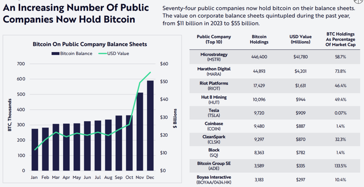 Companies Now Hold Bitcoin