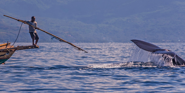Hyperliquid 高槓桿巨鯨駁斥罪犯指控,鏈上偵探 ZachXBT 稱將公布細節