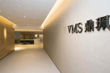 VMS Group