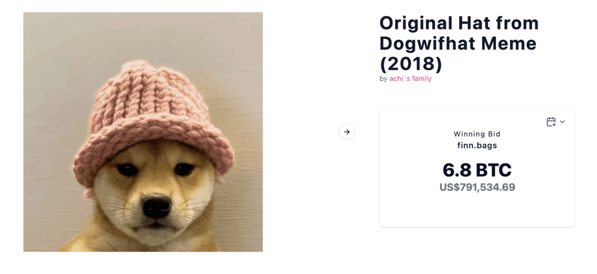 Dogwifhat meme