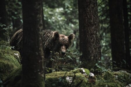 分析師 Willy Woo：下一輪加密貨幣熊市將由商業週期下行引發