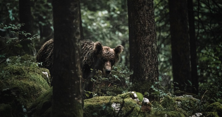 分析師 Willy Woo：下一輪加密貨幣熊市將由商業週期下行引發