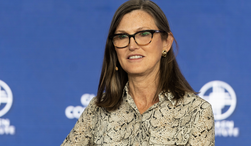 期中選舉將近，Cathie Wood：美國政府可能開始購買比特幣、納入國家儲備