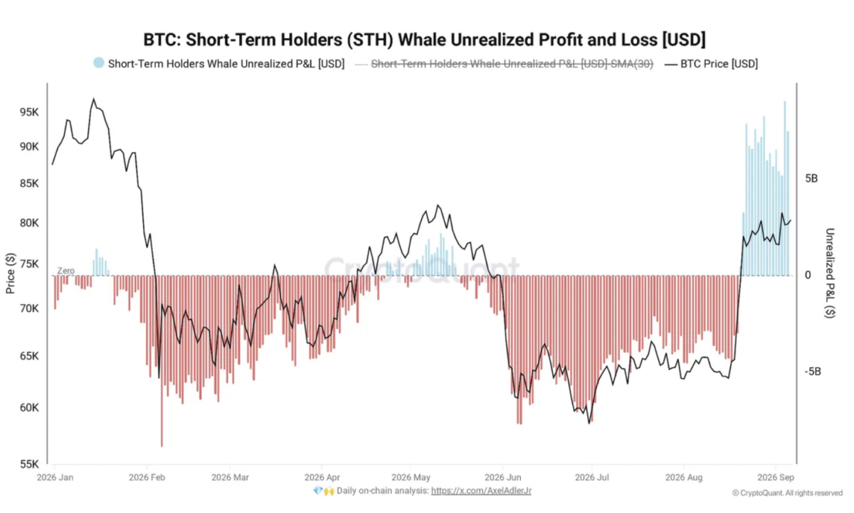 BTC Short Term Holders （STH） Whale Unrealized Proft and Loss （USD］