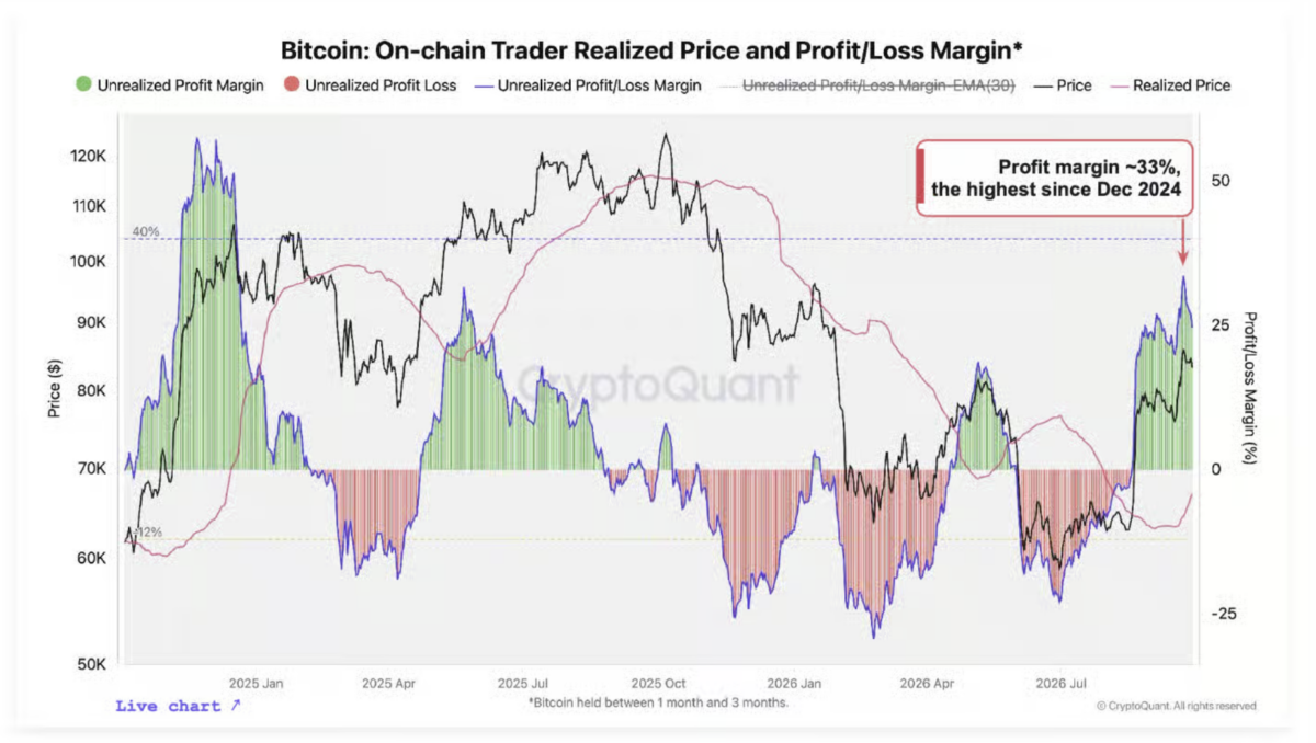 Bitcoir onochain Trader Renlized Pnice and wrotitlLoss Marcin